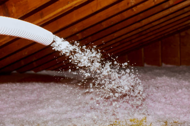 Best Residential Insulation in Monroe, OH