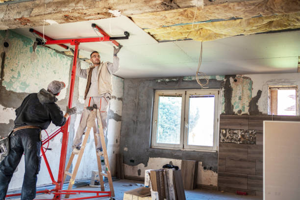 Best Insulation Maintenance and Repair in Monroe, OH