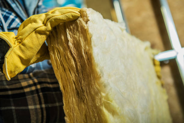 Best Insulation Installation Services in Monroe, OH