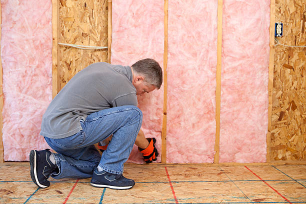 Best Insulation Installation Services in Monroe, OH